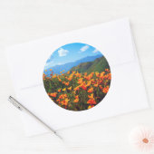 Sticker Rond Pavot californien recouvrant une colline (Enveloppe)