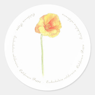 Sticker Rond Pavot de Californie