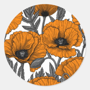 Sticker Rond Pavot orange sur blanc
