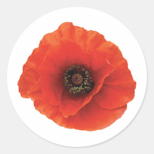 Sticker Rond Pavot rouge