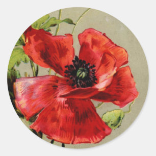 Sticker Rond Pavot rouge vintage