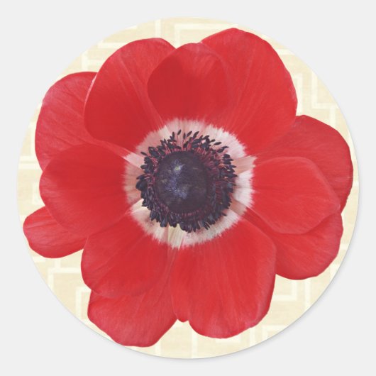 Sticker Rond Pavot sur beige (Devant)
