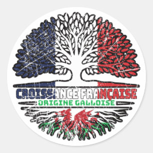 Sticker Rond Pays de Galles Français Français Drapeau Des Racin