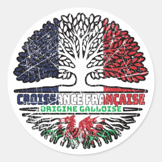 Sticker Rond Pays de Galles Français Français Drapeau Des Racin (Devant)