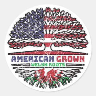 Sticker Rond Pays de Galles Gallois États-Unis États-Unis