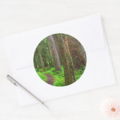 Sticker Rond Paysage de forêt ancienne (Enveloppe)