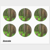 Sticker Rond Paysage de forêt ancienne (Feuille)