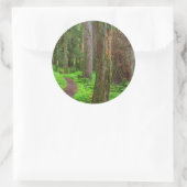 Sticker Rond Paysage de forêt ancienne (Sac)