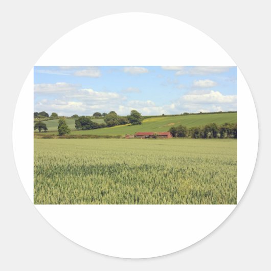Sticker Rond paysage d'été (Devant)
