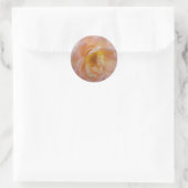 Sticker Rond Peach-Colored Rose (Sac)