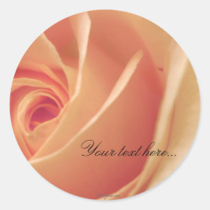 Sticker Rond Peach Crème Rose Mariage Invitations Phoques