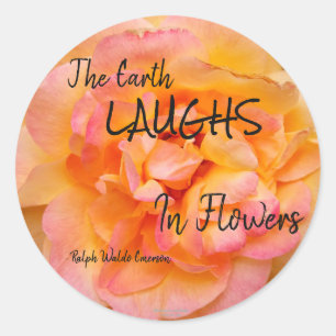 Sticker Rond Peach Yellow Pink Blé Rose Photo