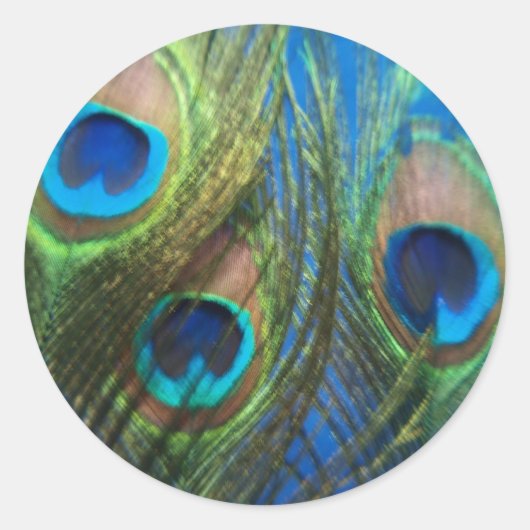 Sticker Rond Peacock de l'oeil de poisson (Devant)