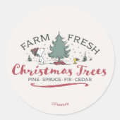 Sticker Rond Peanuts | Farm Fresh Christmas Trees (Devant)