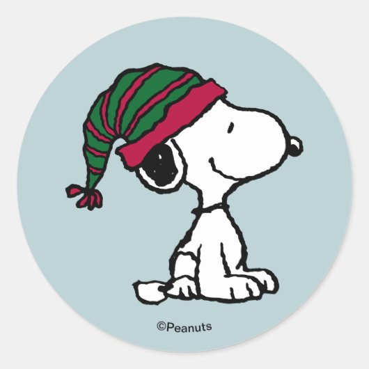 Sticker Rond Peanuts | Toutes les garnitures (Devant)