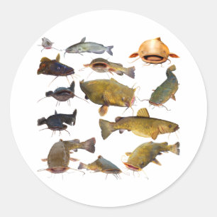 Sticker Rond Pêche