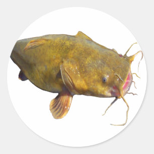 Sticker Rond Pêche aux renseignements