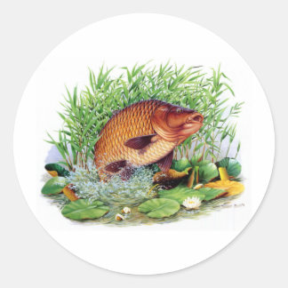 Sticker Rond Pêche de carpe