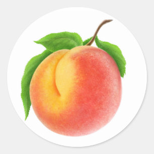 Sticker Rond Pêche sur une branche