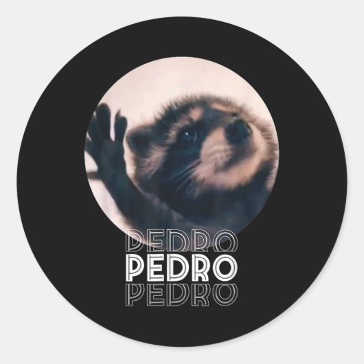 Sticker Rond Pedro Racoon Danse Populaire Mème Internet Mapache (Devant)
