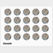 Sticker Rond Peerkat Meerkat (Feuille)