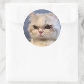 Sticker Rond Pegatina de gato (Sac)
