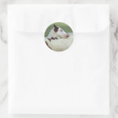 Sticker Rond Peindre Foals Jouer (Sac)