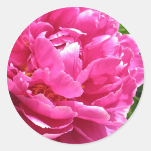 Sticker Rond Peine Pratiquement Parfaite