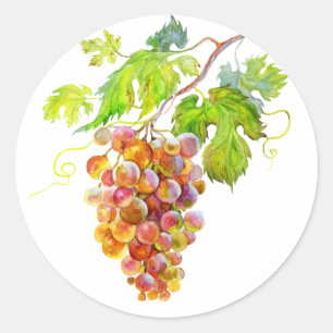 Sticker Rond Peinture botanique de grappe de raisin à l'aquarel