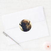 Sticker Rond Peinture de bison (Enveloppe)