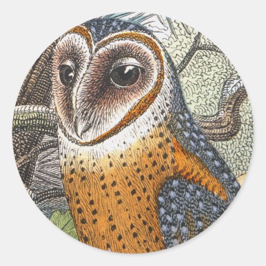 Sticker Rond Peinture de Chouette vintage (Devant)