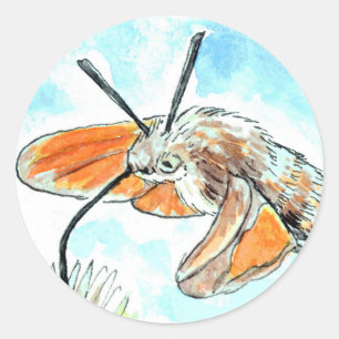 Sticker Rond Peinture de papillon de colibri