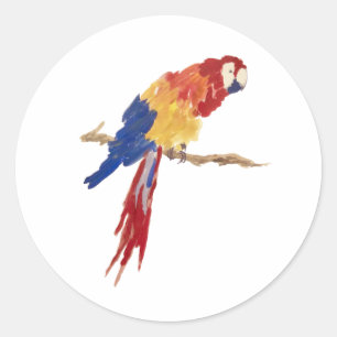 Sticker Rond Peinture d'oiseaux de perroquets tropicaux