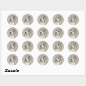 Sticker Rond Peinture Havanaise (Gold Sable) - Art Chien origin (Feuille)