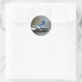 Sticker Rond Peinture Jay Bleu - Art Oiseau Original (Sac)