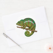 Sticker Rond Peinture numérique Panther Chameleon (Enveloppe)