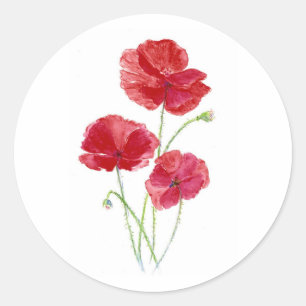 Sticker Rond Peinture originale aquarelle jardin fleur pavot ro