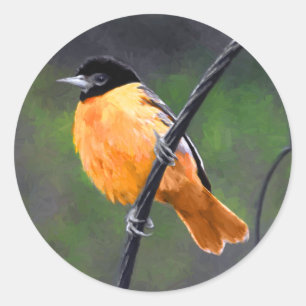 Sticker Rond Peinture Oriole - Art Oiseau Original