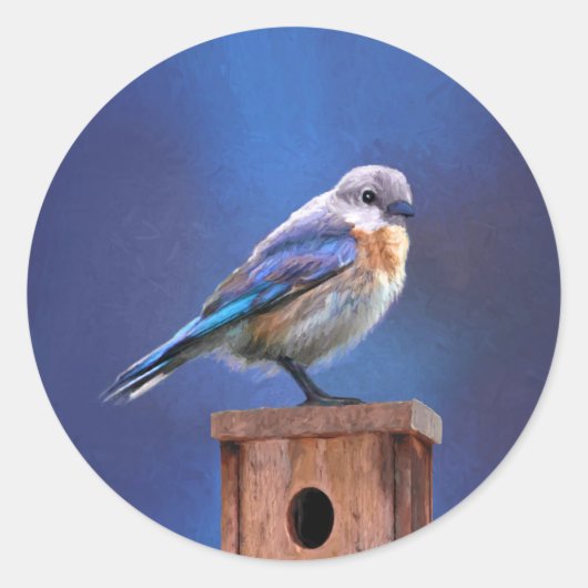 Sticker Rond Peinture pour oiseaux bleus (femelle) - Art origin (Devant)