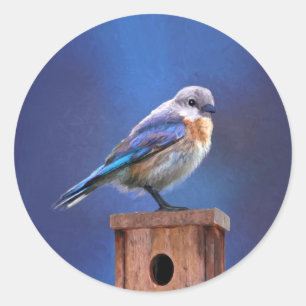 Sticker Rond Peinture pour oiseaux bleus (femelle) - Art origin