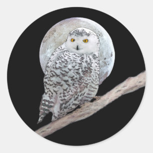 Sticker Rond Peinture sur la Chouette neigeuse et la Lune - Art