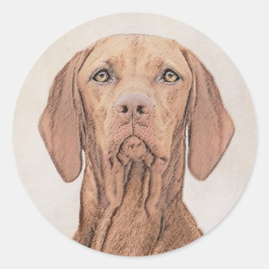 Sticker Rond Peinture Vizsla - Joli art original chien (Devant)