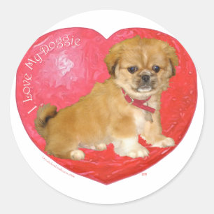 Sticker Rond Pékinois / mélange de Shih Tzu pour la Saint-Valen