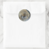 Sticker Rond Pékinois pensif (Sac)