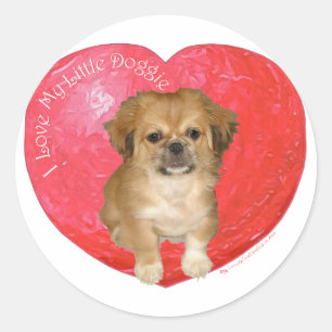 Sticker Rond Pékinois / Shih Tzu Saint-Valentin
