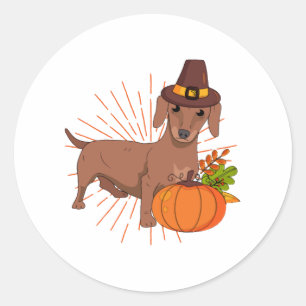 Sticker Rond Pèlerin citrouille feuilles Thanksgiving