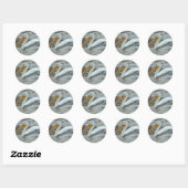 Sticker Rond Pélican blanc B14 (Feuille)