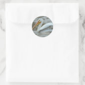Sticker Rond Pélican blanc B14 (Sac)