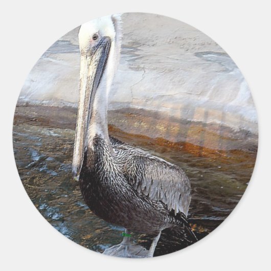 Sticker Rond Pelican Love,-Occasions_ (Devant)