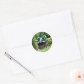 Sticker Rond Péniches (Enveloppe)